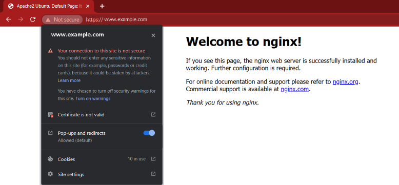nginx self signed certificate welcome page